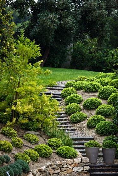 Hillside scenery