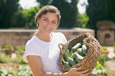 Las Vegas Summer Vegetable Garden - How to Grow Food in Extreme