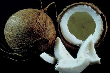 Coconuts