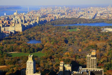 New York central park at autumn from above, USA