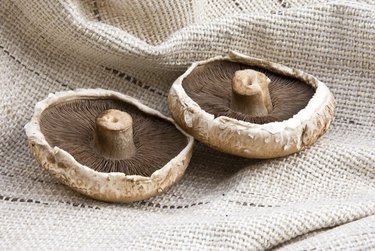 Two portabello mushrooms