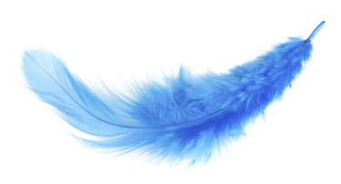 Feathers - Soft Blue Simple