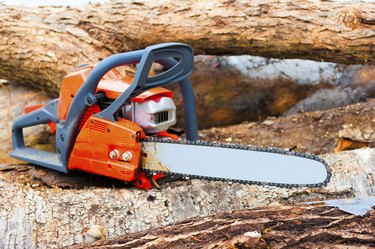 chainsaw closeup on a felled forest