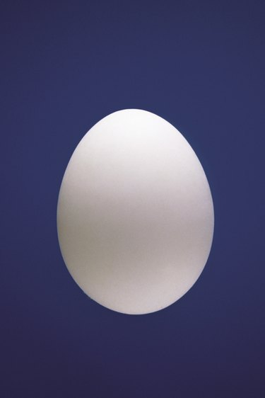 Egg