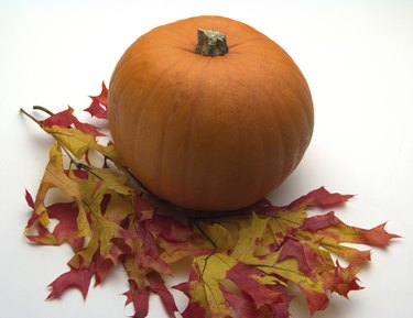 Vibrant leaves and pumpkin