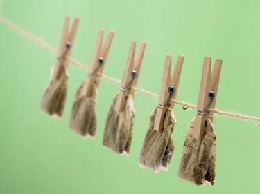 Clothes pins with tea bags on line