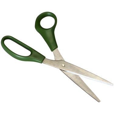 Scissors