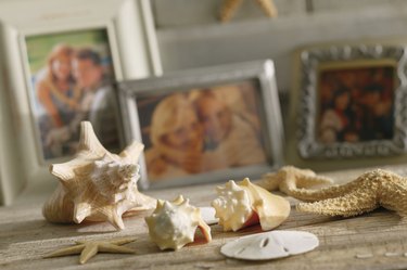 How to Make Christmas Ornaments Out of Sand Dollars