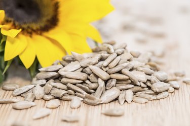 Sunflower with Seeds on wood