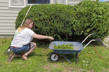 Teenager Helping with Yard Work