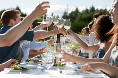 People toasting wine glasses at outdoor dinner party