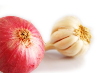 Studio shot an onion and a garlic bud