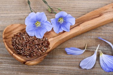 Flax seeds and linum flowers, flax