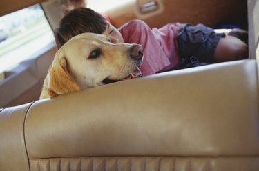 Girl (6-7) sleeping with dog in rear of station wagon