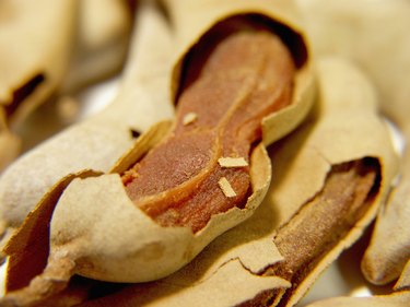 Close-up of tamarind