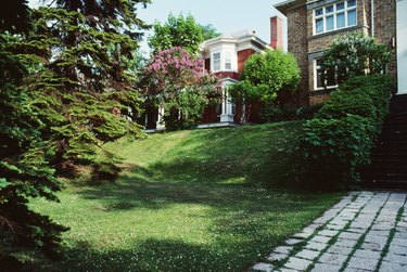 Backyards of houses