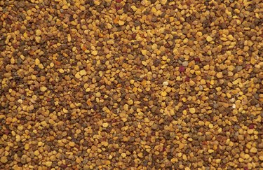 Mustard seeds