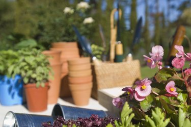 Flowers and planting supplies in garden