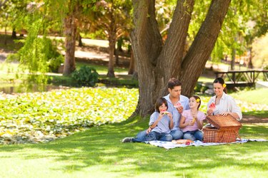 Picnic Setup for Two – Not Your Average Picnic