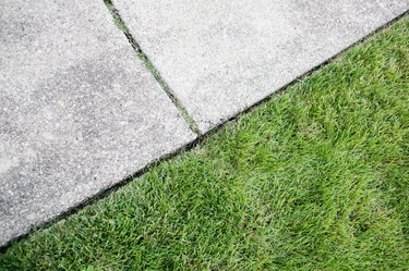 Sidewalk and grass