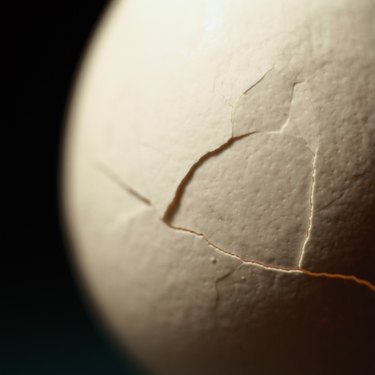 Cracked Eggshell