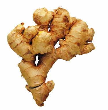 Gingerroot