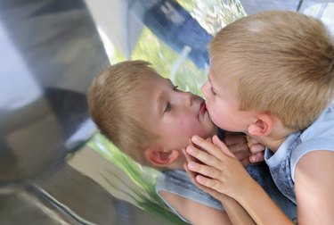 Boy gazing on funny mirror