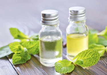 Peppermint Oil Fresh Mint Scent, Pure Natural Aromatherapy Oil