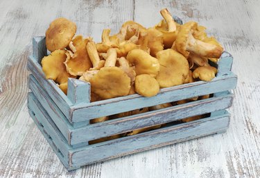 fresh chanterelles in wooden box