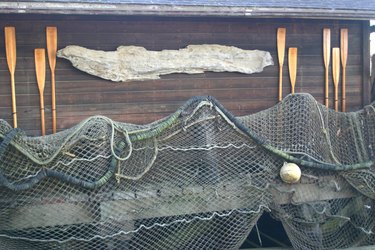 Fish Nets and Paddles