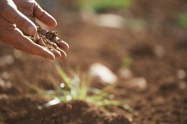 Man holding soil, close-up of hand