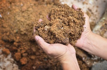 Material for compost on farmer hand