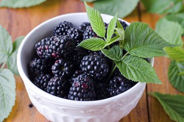 Fresh blackberries in a bowl