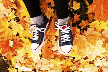 Tired leg: Footwear on a dry colourful leaves