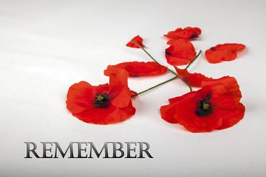 Poppies - for Remembrance Day, Remember