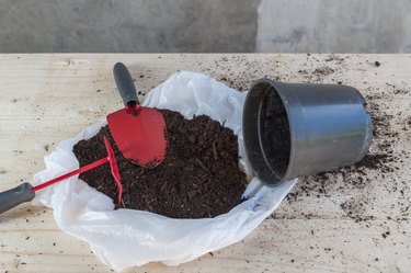Gardening tools: pot, shovel