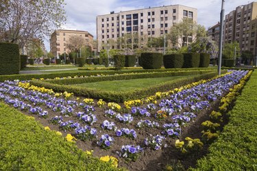 Garden City - Jardines de Ciudad