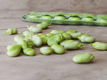 Seedcase lima beans.