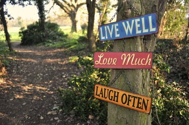 Inspiring Sign Hanging on a Tree in the Woods