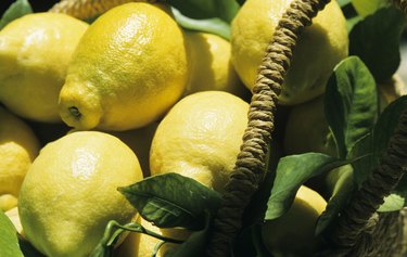 Lemons in basket, Murcia, Spain, close-up