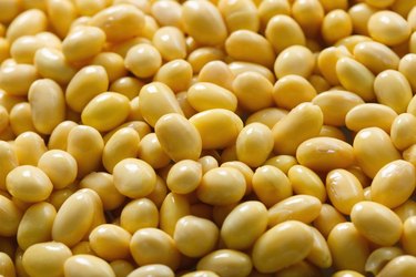 "Soy beans,close-up"
