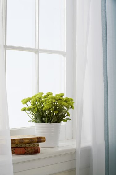 Flowers in vase on window sill