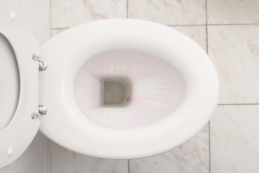 High angle view of toilet flushing