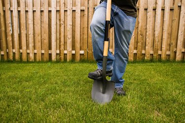 Man with shovel digging in yard with fence