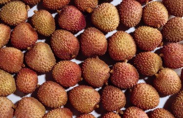 Litchi fruit