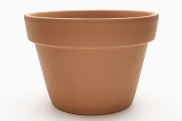 Terracotta flower pot