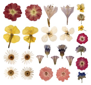 How to Make Pressed Flowers