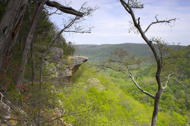 Arkansas cliff