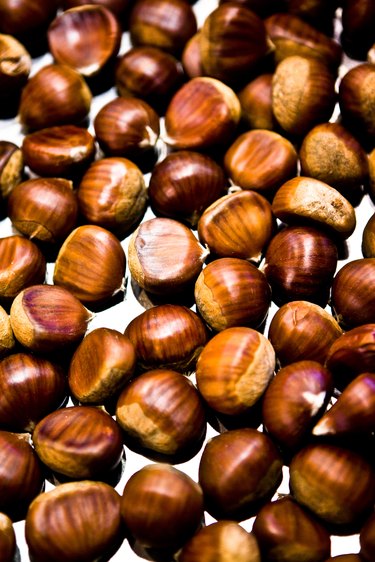 How to Roast Hazelnuts in the Shell | ehow