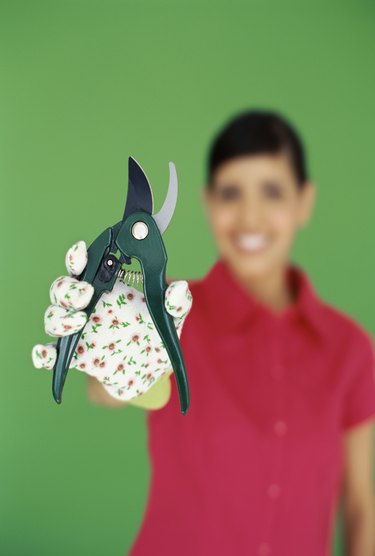 portrait of a young woman holding a hedge clipper